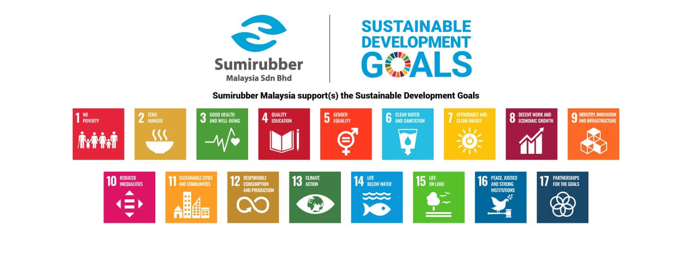 SDG Support