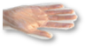 PE