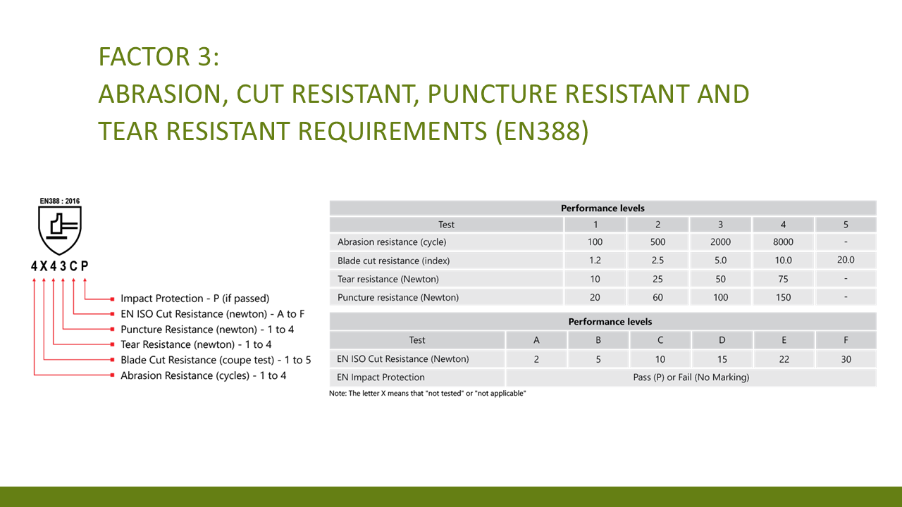 Slide 6
