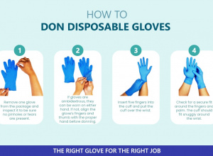 How to Don Disposable Gloves