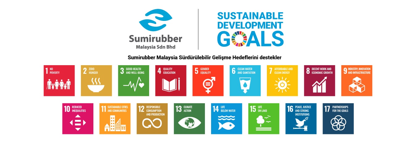 SDG Support